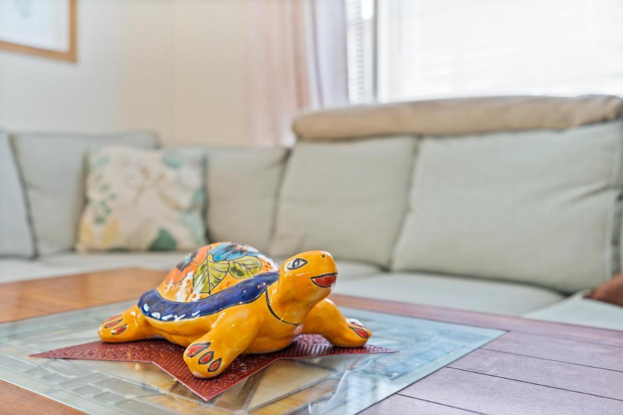 Turtle Shack - Ocean Isle Beach -Whole Beach House Exteriér fotografie